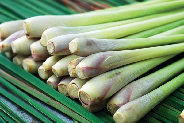 ความหลากหลาย 3