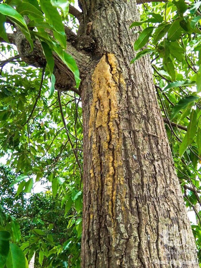 ความหลากหลาย 3