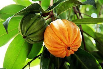 ความหลากหลาย 2