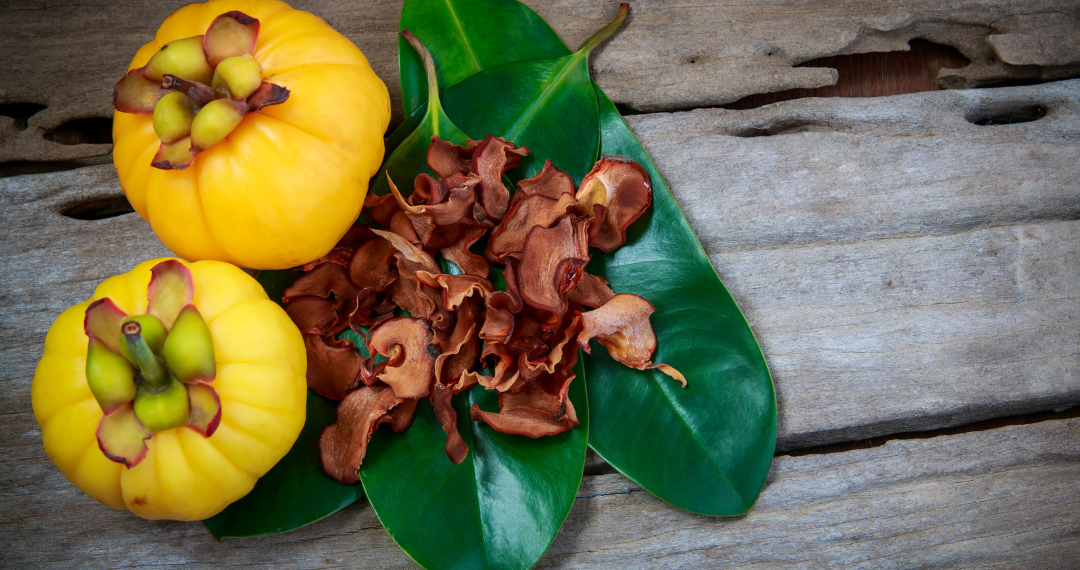 ความหลากหลาย 1