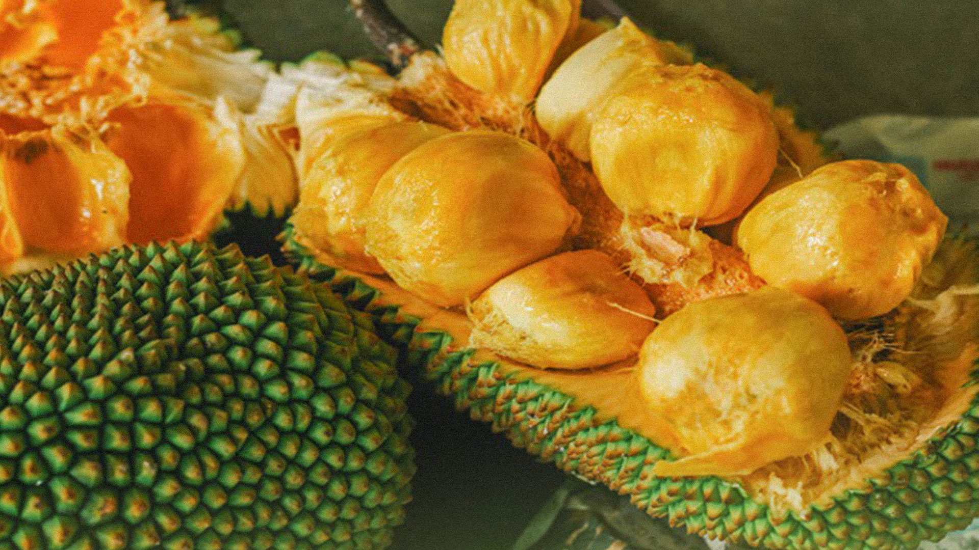 ความหลากหลาย 3