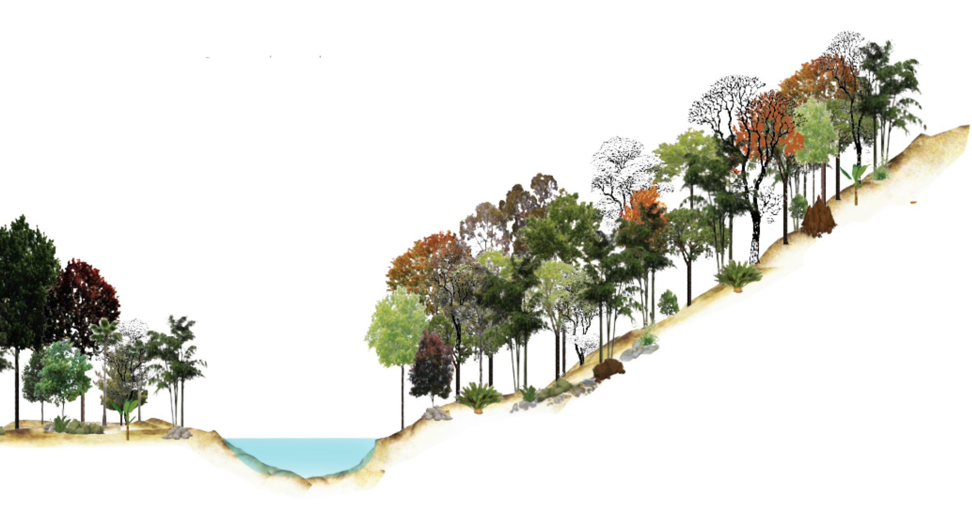 การใช้ทรัพยากรน้ำในสวนสมรม